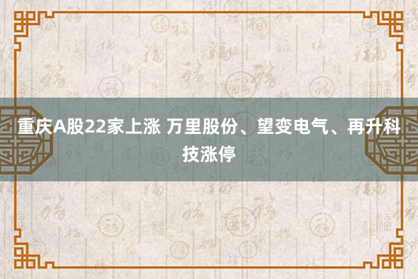重庆A股22家上涨 万里股份、望变电气、再升科技涨停