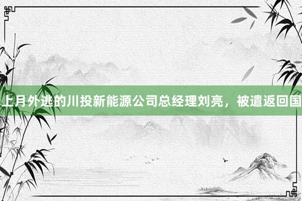 上月外逃的川投新能源公司总经理刘亮，被遣返回国