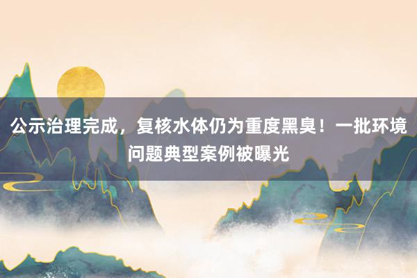 公示治理完成，复核水体仍为重度黑臭！一批环境问题典型案例被曝光