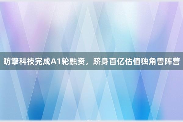 昉擎科技完成A1轮融资，跻身百亿估值独角兽阵营