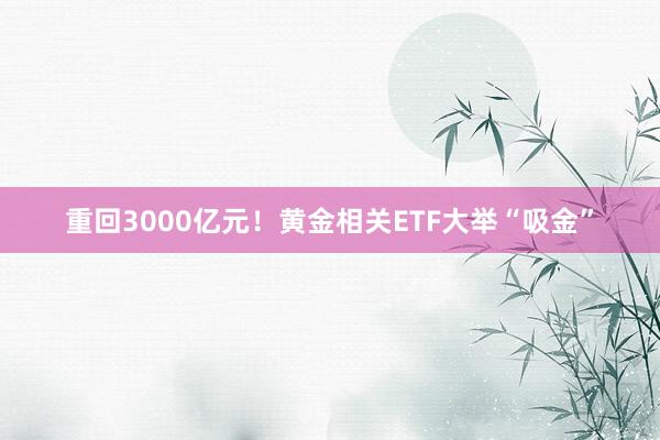 重回3000亿元！黄金相关ETF大举“吸金”