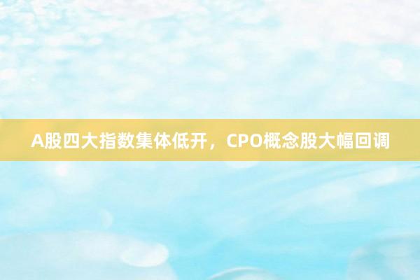 A股四大指数集体低开，CPO概念股大幅回调