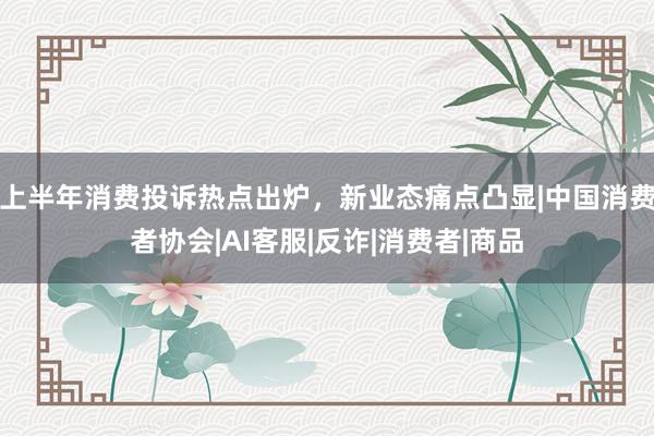 上半年消费投诉热点出炉，新业态痛点凸显|中国消费者协会|AI客服|反诈|消费者|商品