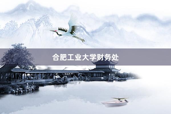 合肥工业大学财务处
