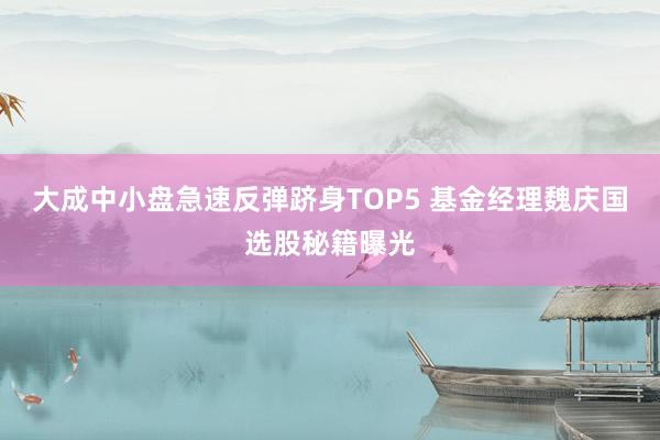大成中小盘急速反弹跻身TOP5 基金经理魏庆国选股秘籍曝光