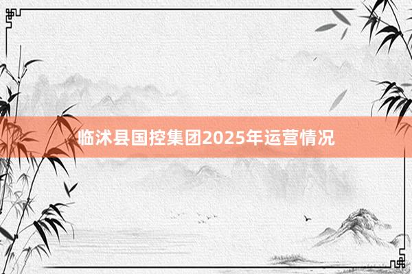 临沭县国控集团2025年运营情况