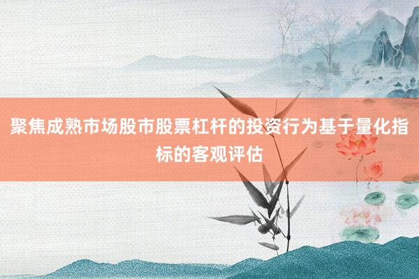 聚焦成熟市场股市股票杠杆的投资行为基于量化指标的客观评估