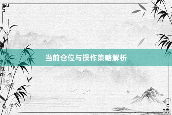 当前仓位与操作策略解析