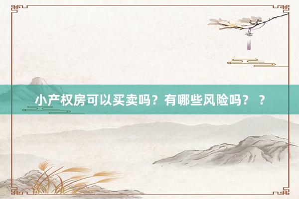 小产权房可以买卖吗？有哪些风险吗？ ？