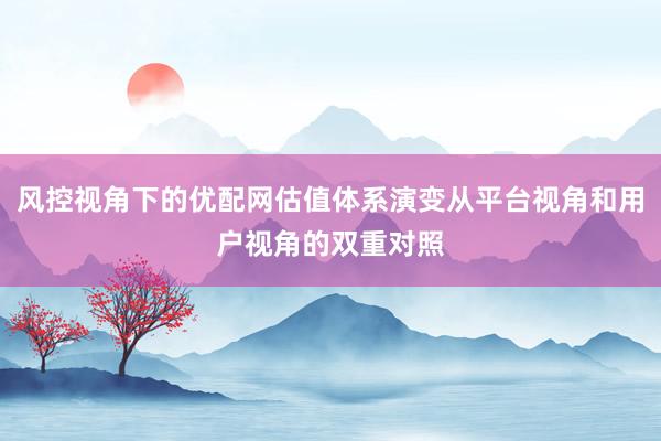 风控视角下的优配网估值体系演变从平台视角和用户视角的双重对照
