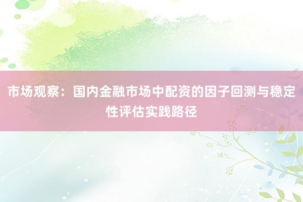 市场观察：国内金融市场中配资的因子回测与稳定性评估实践路径