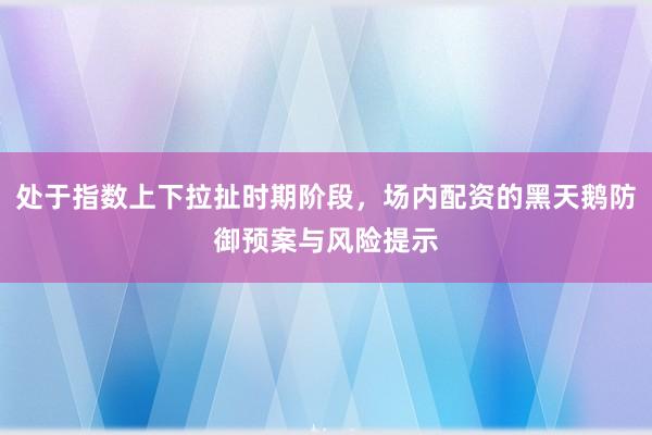处于指数上下拉扯时期阶段，场内配资的黑天鹅防御预案与风险提示