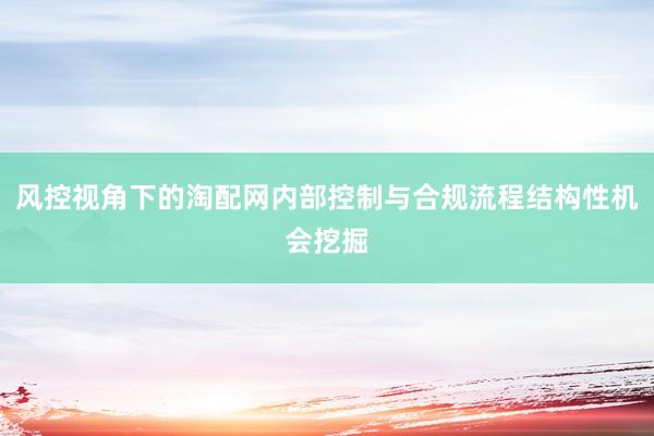 风控视角下的淘配网内部控制与合规流程结构性机会挖掘