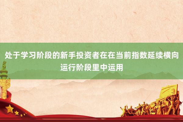 处于学习阶段的新手投资者在在当前指数延续横向运行阶段里中运用
