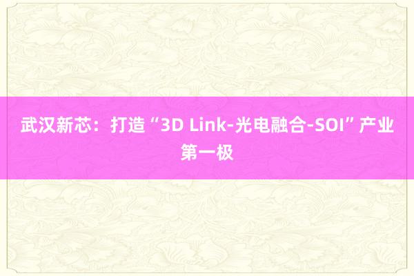 武汉新芯：打造“3D Link-光电融合-SOI”产业第一极