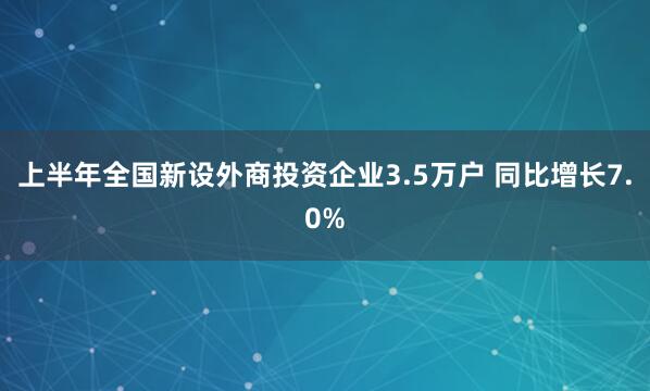 上半年全国新设外商投资企业3.5万户 同比增长7.0%