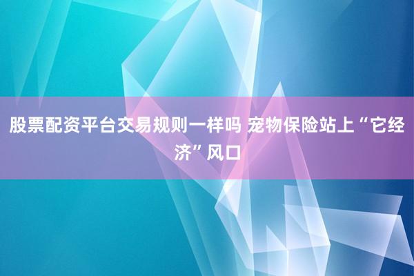 股票配资平台交易规则一样吗 宠物保险站上“它经济”风口