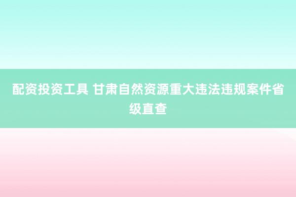 配资投资工具 甘肃自然资源重大违法违规案件省级直查