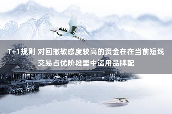T+1规则 对回撤敏感度较高的资金在在当前短线交易占优阶段里中运用品牌配