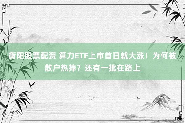 衡阳股票配资 算力ETF上市首日就大涨！为何被散户热捧？还有一批在路上