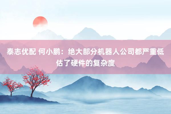 泰志优配 何小鹏：绝大部分机器人公司都严重低估了硬件的复杂度