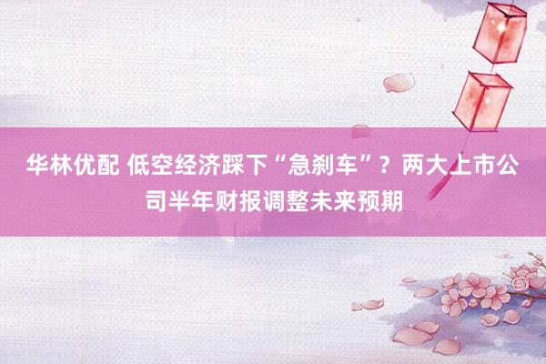 华林优配 低空经济踩下“急刹车”？两大上市公司半年财报调整未来预期