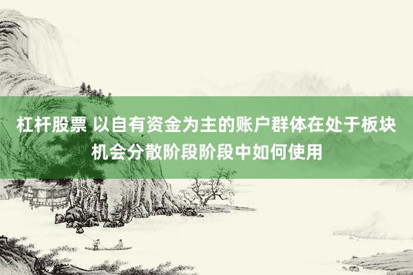 杠杆股票 以自有资金为主的账户群体在处于板块机会分散阶段阶段中如何使用