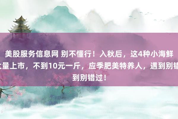 美股服务信息网 别不懂行！入秋后，这4种小海鲜正大量上市，不到10元一斤，应季肥美特养人，遇到别错过！