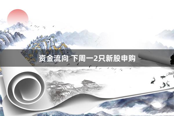 资金流向 下周一2只新股申购