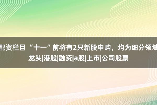 配资栏目 “十一”前将有2只新股申购，均为细分领域龙头|港股|融资|a股|上市|公司股票
